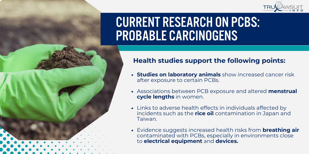 Current Research on PCBs_ Probable Carcinogens