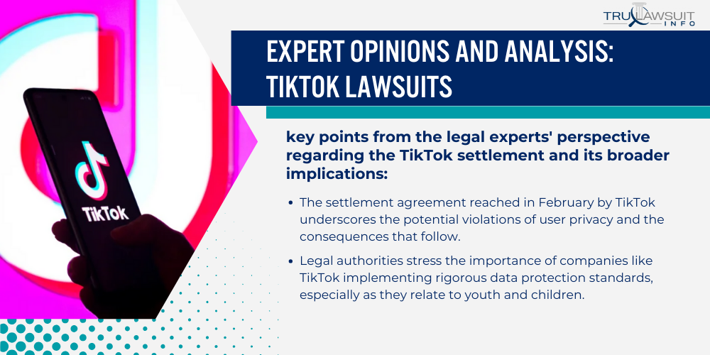 Expert Opinions and Analysis_ TikTok Lawsuits