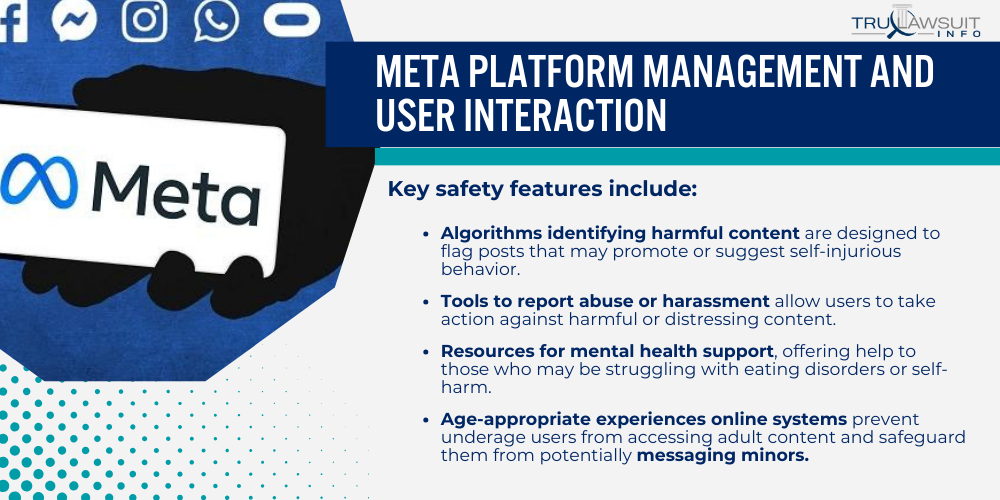 Meta Platform Management and User Interaction