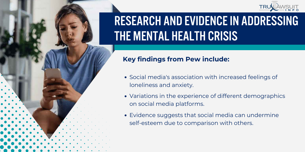 Research and Evidence in Addressing the Mental Health Crisis