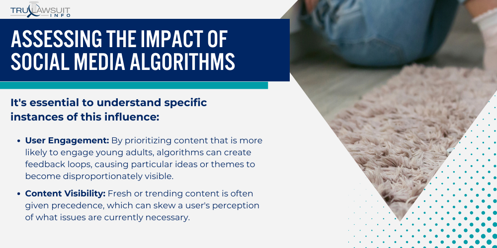 Assessing the Impact of Social Media Algorithms
