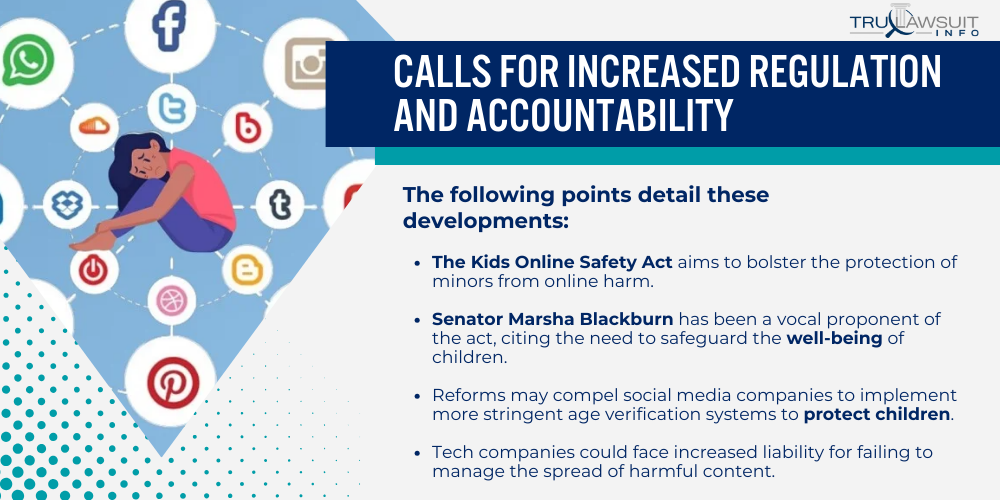 Calls for Increased Regulation and Accountability