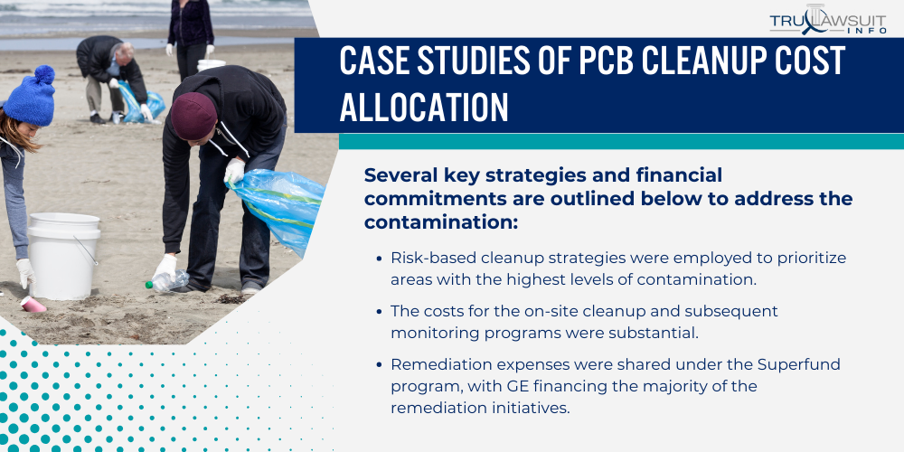Case Studies of PCB Cleanup Cost Allocation