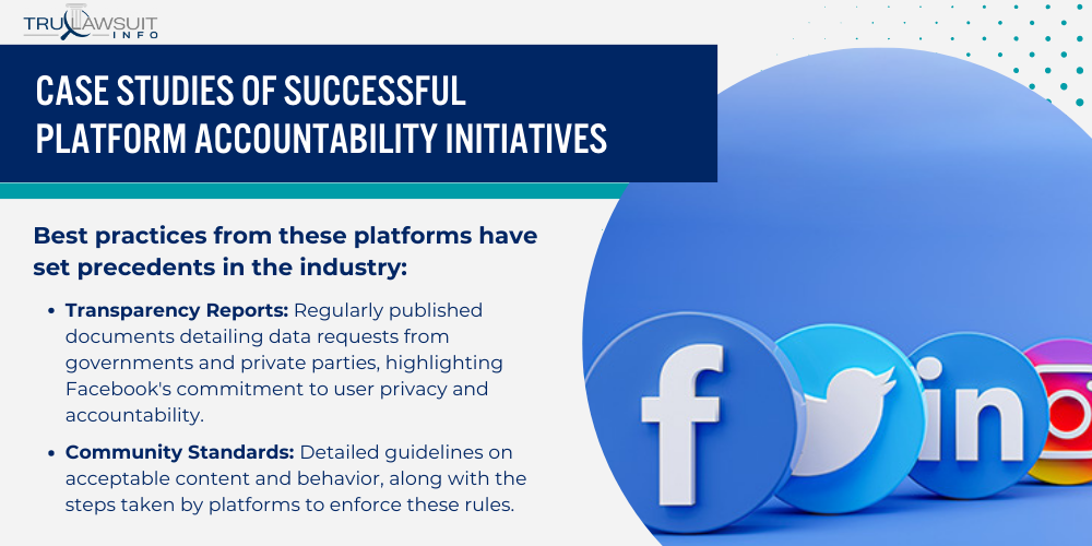 Case Studies of Successful Platform Accountability Initiatives