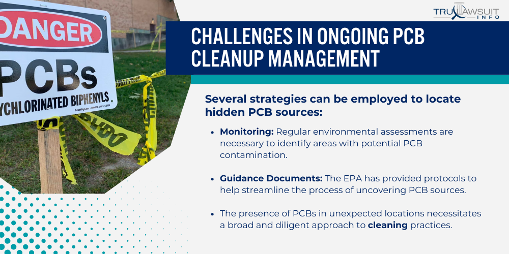 Challenges in Ongoing PCB Cleanup Management