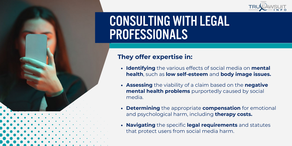 Consulting with Legal Professionals