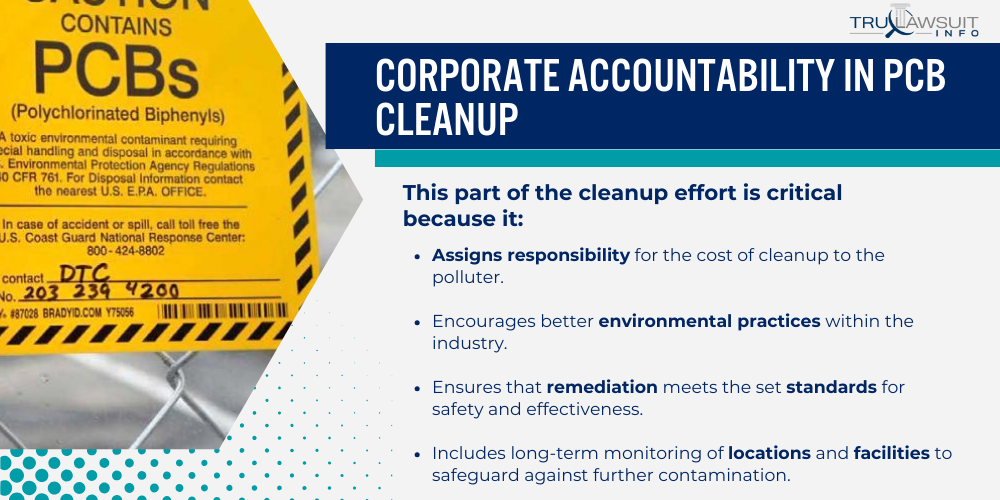 Corporate Accountability in PCB Cleanup
