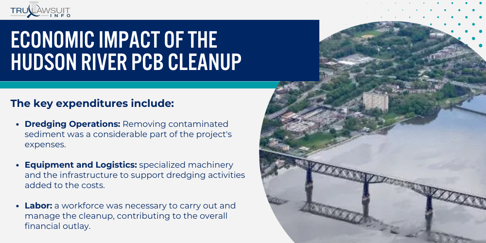 Economic Impact of the Hudson River PCB Cleanup