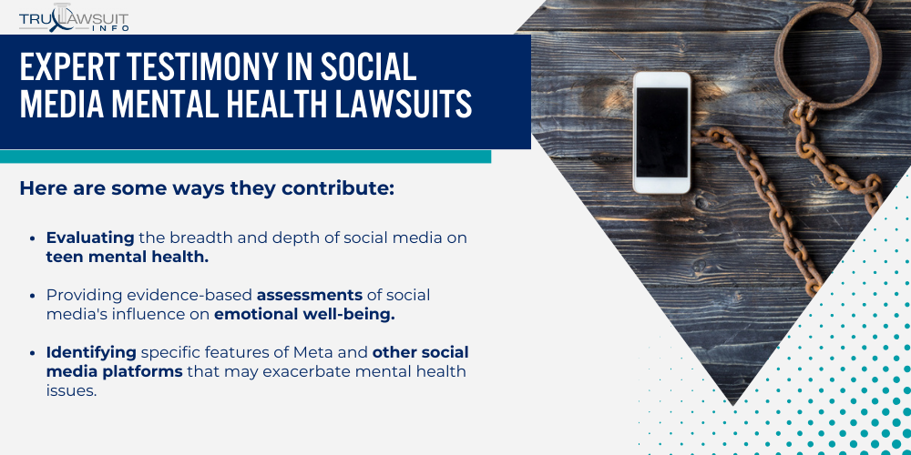 Expert Testimony in Social Media Mental Health Lawsuits