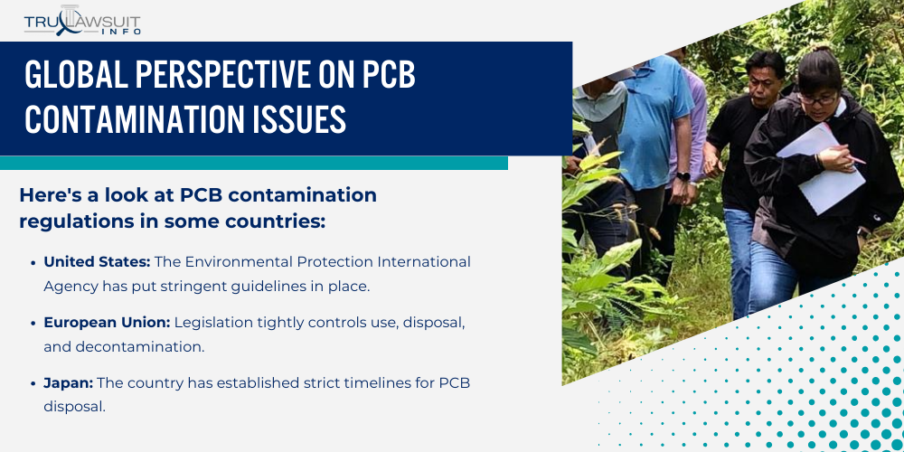 Global Perspective on PCB Contamination Issues