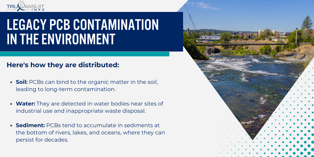 Legacy PCB Contamination in the Environment