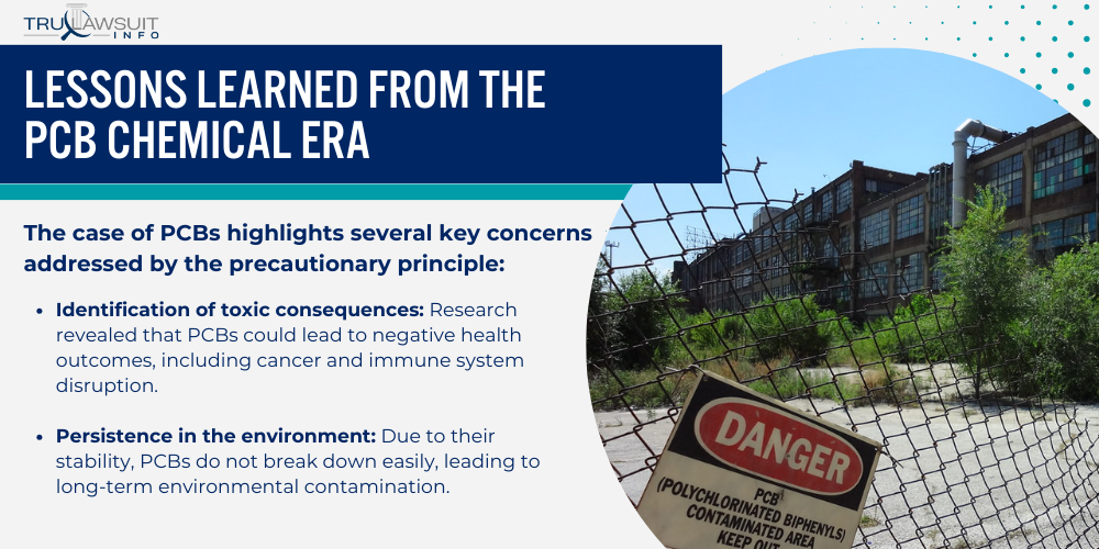 Lessons Learned from the PCB Chemical Era