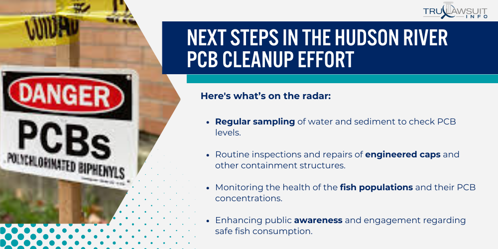 Next Steps in the Hudson River PCB Cleanup Effort