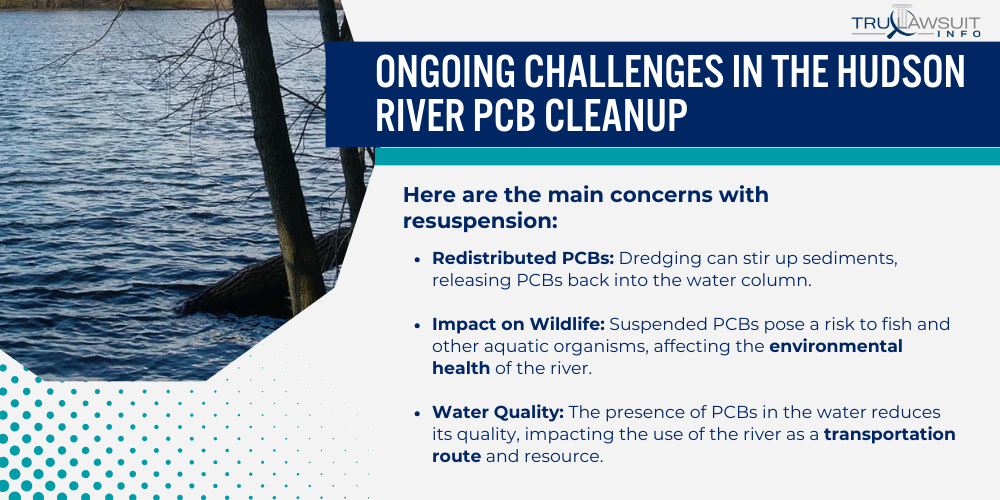 Ongoing Challenges in the Hudson River PCB Cleanup