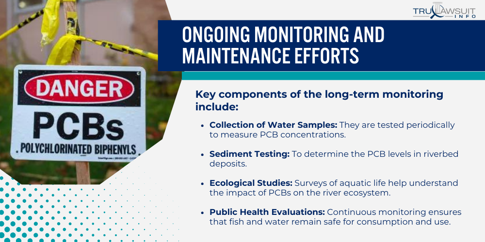 Ongoing Monitoring and Maintenance Efforts