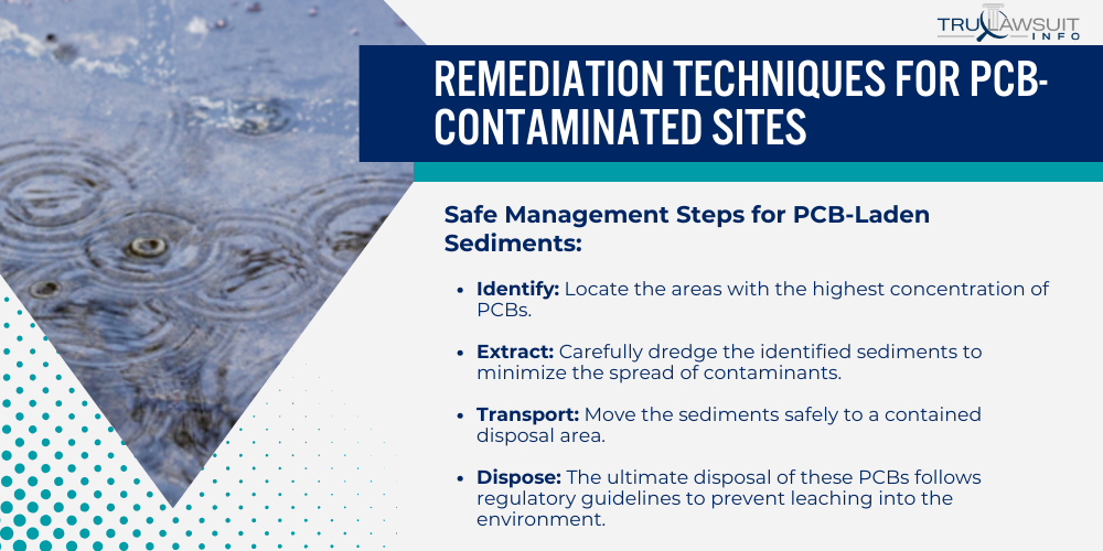 Remediation Techniques for PCB-Contaminated Sites