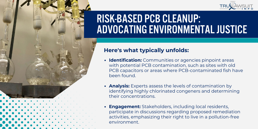 Risk-Based PCB Cleanup Advocating Environmental Justice