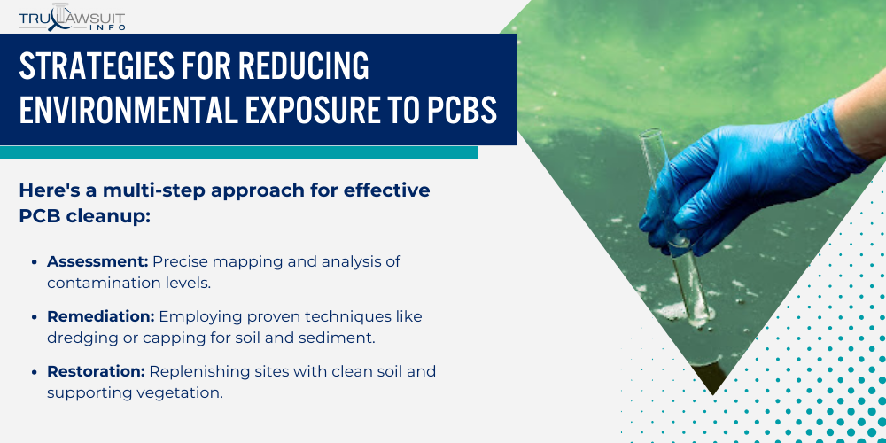 Strategies for Reducing Environmental Exposure to PCBs