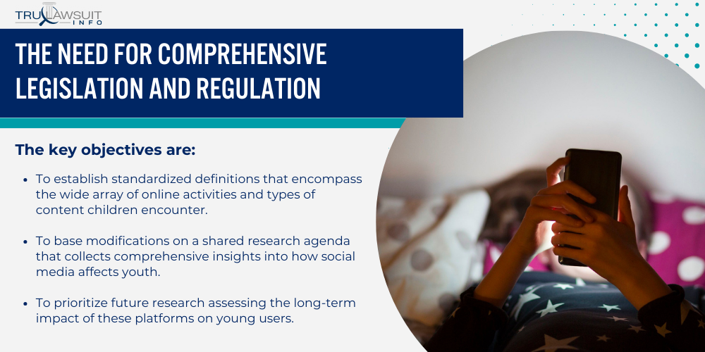 The Need for Comprehensive Legislation and Regulation (2)