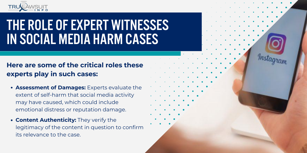 The Role of Expert Witnesses in Social Media Harm Cases