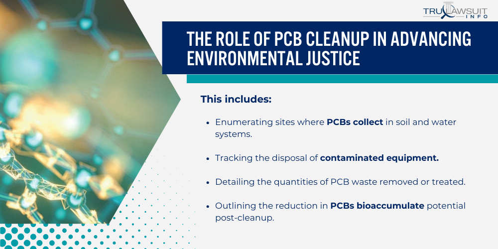 The Role of PCB Cleanup in Advancing Environmental Justice