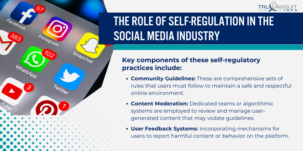 The Role of Self-Regulation in the Social Media Industry