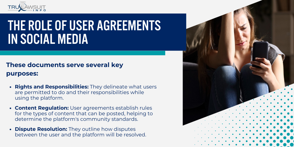 The Role of User Agreements in Social Media