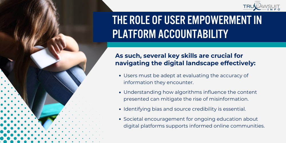 The Role of User Empowerment in Platform Accountability