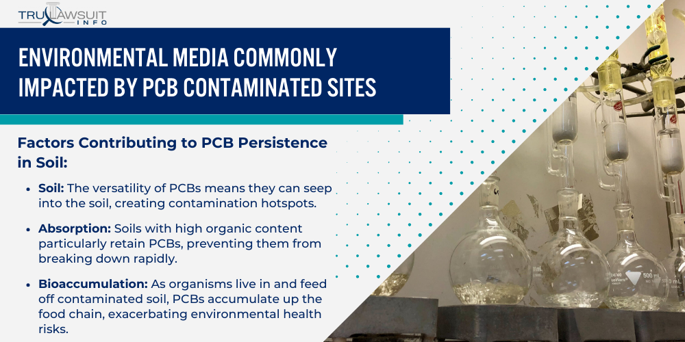 Environmental Media Commonly Impacted by PCB Contaminated Sites