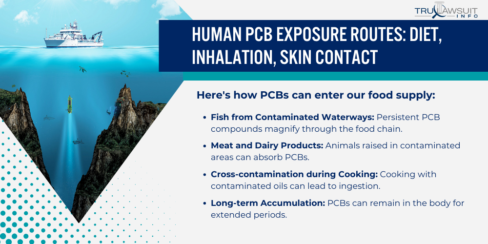 Human PCB Exposure Routes_ Diet, Inhalation, Skin Contact