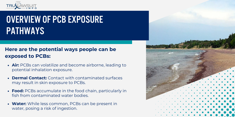 Overview of PCB Exposure Pathways