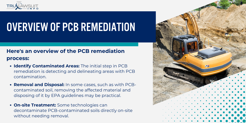 Overview of PCB Remediation