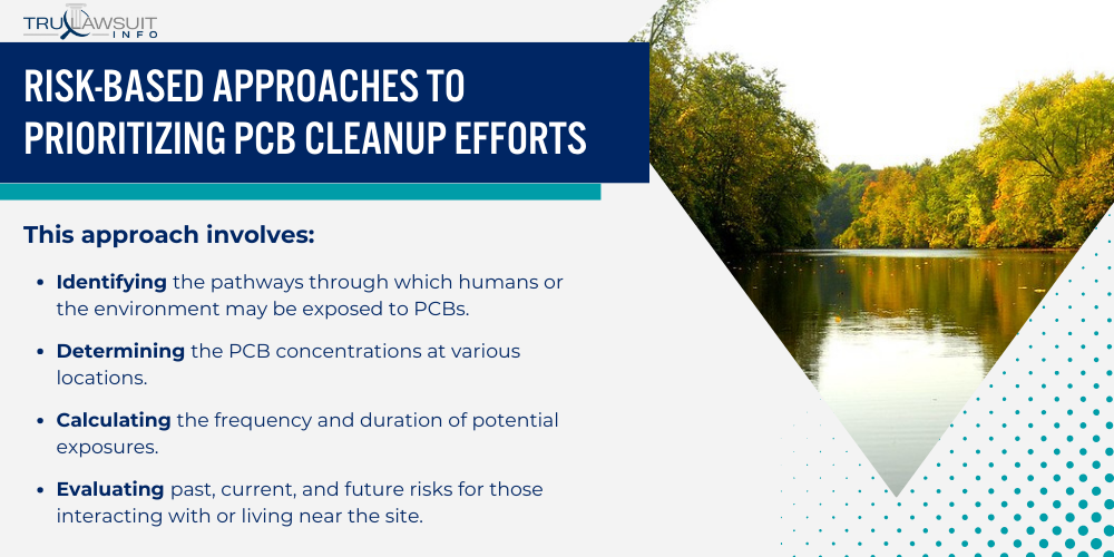 Risk-Based Approaches to Prioritizing PCB Cleanup Efforts