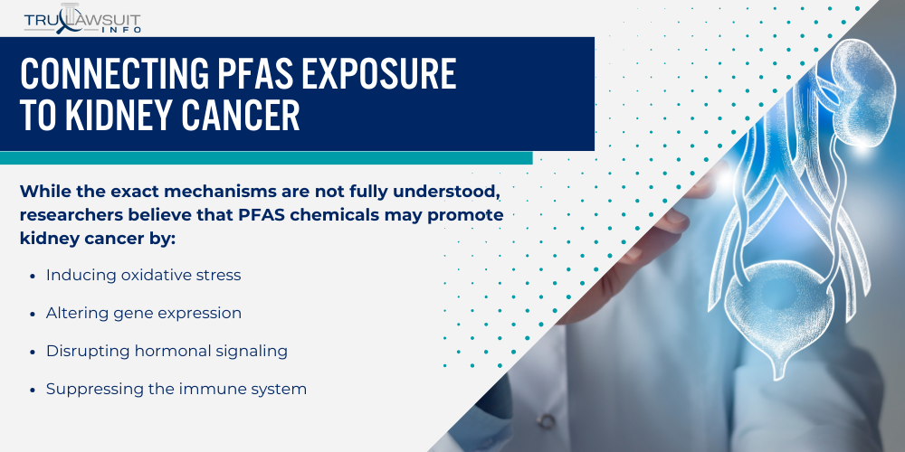 Connecting PFAS Exposure to Kidney Cancer