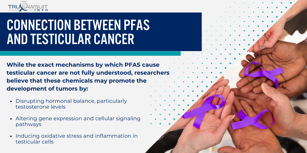 Connection Between PFAS and Testicular Cancer